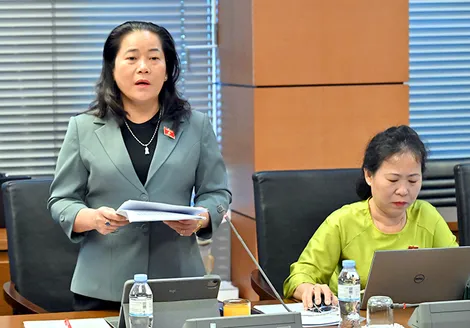 Bà Lê Thị Thanh Lam, Phó trưởng đoàn chuyên trách Đoàn đại biểu Quốc hội TP Cần Thơ, góp ý Luật sửa đổi, bổ sung một số điều của 6 Luật