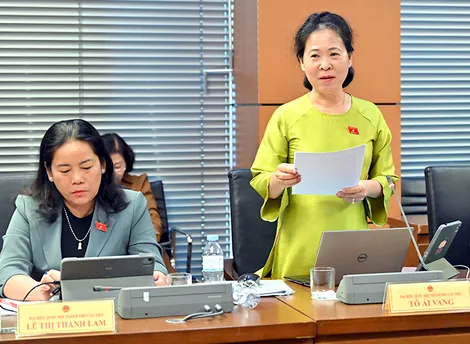 Bà Tô Ái Vang, Phó trưởng đoàn chuyên trách Đoàn đại biểu Quốc hội TP Cần Thơ, góp ý Luật sửa đổi, bổ sung một số điều của Luật Hoạt động chữ thập đỏ
