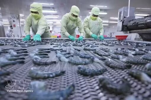 Top Vietnamese leader’s visit to push for deeper EU ties