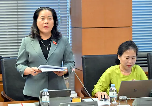 Bà Lê Thị Thanh Lam, Phó trưởng đoàn chuyên trách Đoàn đại biểu Quốc hội TP Cần Thơ, góp ý Luật sửa đổi, bổ sung một số điều của 6 Luật