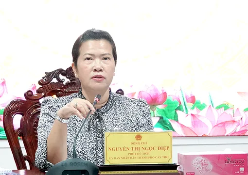 Rà soát dự thảo nghị quyết về nội dung chi và mức chi trong hoạt động văn hóa, nghệ thuật