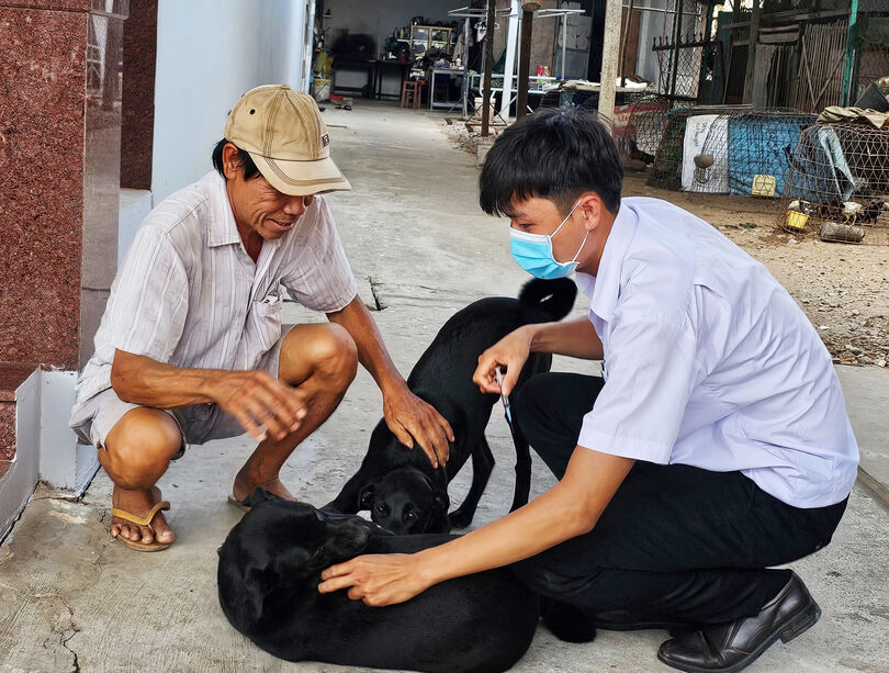 អនុ​វត្ត​បន្ទាន់​នូវ​វិធាន​ការ​បង្ការ ទប់​ស្កាត់​ជំងឺ​ឆ្លង​រាល​ដាល​លើ​សត្វ​ពា​ហនៈ សត្វ​ស្លាប​ក្នុង​ប៉ុន្មាន​ខែ​ចុង​ឆ្នាំ ២០២៦