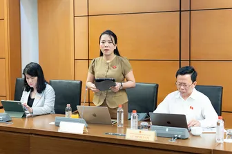 Bà Triệu Thị Ngọc Diễm, đại biểu Quốc hội đơn vị TP Cần Thơ, góp ý dự thảo Luật Đất đai (sửa đổi)