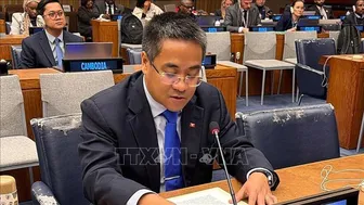 Việt Nam thay mặt ASEAN phát biểu tại Ủy ban 4 về tác động của bức xạ nguyên tử