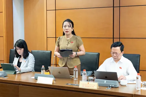 Bà Triệu Thị Ngọc Diễm, đại biểu Quốc hội đơn vị TP Cần Thơ, góp ý dự thảo Luật Đất đai (sửa đổi)