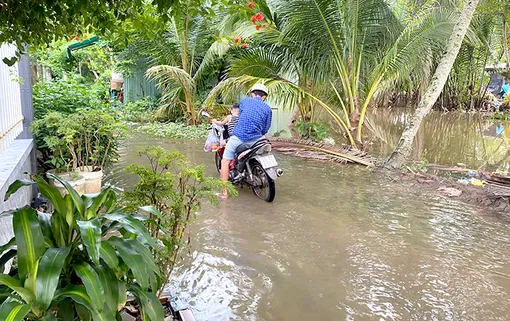 Mong tuyến đường cặp Rạch Ông Đội sớm được nâng cấp