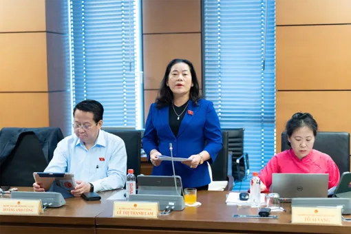 Bà Lê Thị Thanh Lam, Phó trưởng đoàn chuyên trách Đoàn đại biểu Quốc hội TP Cần Thơ, góp ý dự án Luật Nhà ở (sửa đổi)
