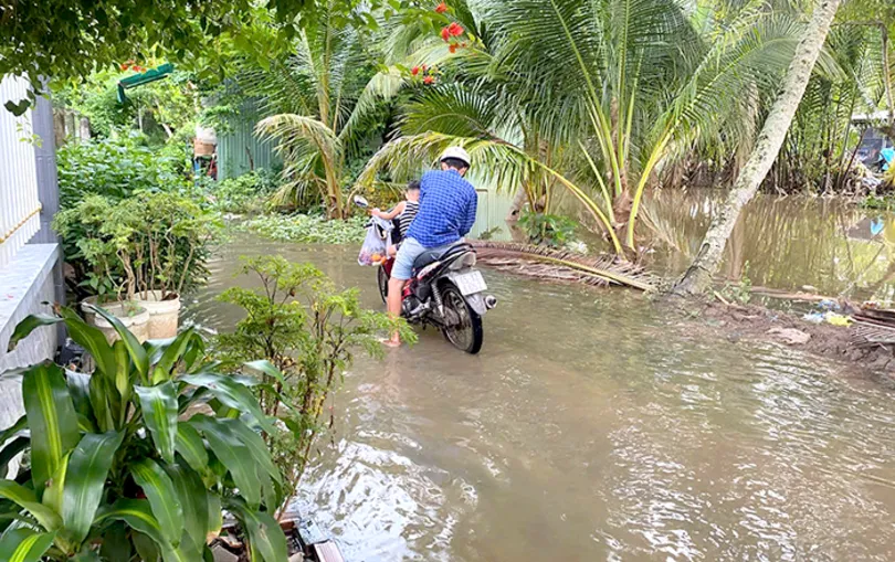 Mong tuyến đường cặp Rạch Ông Đội sớm được nâng cấp