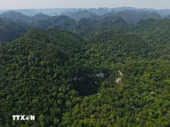 Phát hiện hố sụt sâu 120m trong Vườn Quốc gia Phong Nha-Kẻ Bàng