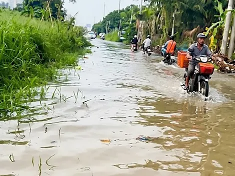 Tuyến đường dân sinh xuống cấp nhiều năm, chưa được khắc phục
