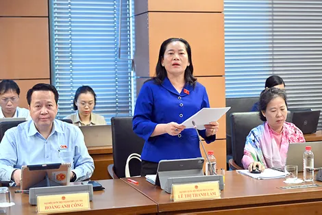 Bà Lê Thị Thanh Lam, Phó trưởng đoàn chuyên trách Đoàn đại biểu Quốc hội TP Cần Thơ, góp ý dự án Luật Văn bản quy phạm pháp luật