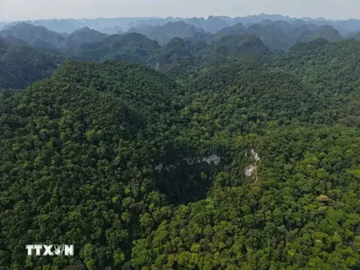 Phát hiện hố sụt sâu 120m trong Vườn Quốc gia Phong Nha-Kẻ Bàng