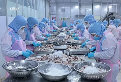 Tăng tốc hoàn thành mục tiêu xuất khẩu nông lâm thủy sản