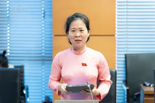 Bà Tô Ái Vang, Phó trưởng đoàn chuyên trách Đoàn đại biểu Quốc hội TP Cần Thơ, góp ý Luật Thuế thu nhập cá nhân