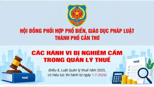 [INFOGRAPHICS] Các hành vi bị nghiêm cấm trong quản lý thuế
