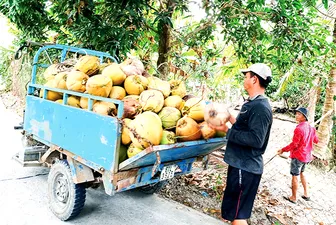 DẠO QUANH THỊ TRƯỜNG