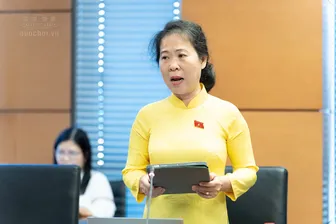 Bà Tô Ái Vang, Phó trưởng đoàn chuyên trách Đoàn đại biểu Quốc hội TP Cần Thơ, góp ý dự án Luật sửa đổi, bổ sung một số điều của Luật Bảo vệ môi trường