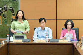 Bà Lê Thị Thanh Lam, Phó trưởng đoàn chuyên trách Đoàn đại biểu Quốc hội TP Cần Thơ, góp ý dự án Luật An toàn thực phẩm (sửa đổi)