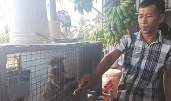 លោក​គឹម​ថើយ​ថេ៖ ផ្តើម​ធ្វើ​អា​ជីវ​កម្ម​ជោគ​ជ័យ​និង​ក្លាយ​ជា​អ្នក​មាន​ពី​ទម្រង់​ចិញ្ចឹម​សត្វ​សំពោច​