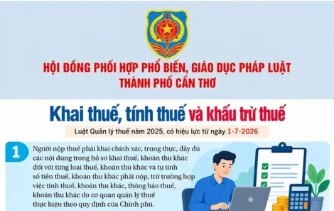 [INFOGRAPHICS] Khai thuế, tính thuế và khấu trừ thuế