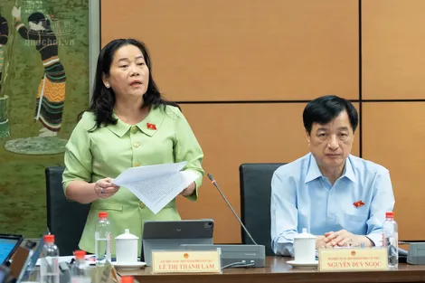 Bà Lê Thị Thanh Lam, Phó trưởng đoàn chuyên trách Đoàn đại biểu Quốc hội TP Cần Thơ, góp ý dự án Luật Tài nguyên, môi trường biển và hải đảo (sửa đổi)