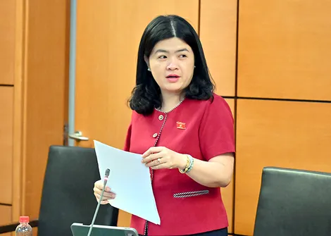 Bà Phạm Thị Minh Huệ, đại biểu Quốc hội đơn vị TP Cần Thơ, góp ý dự thảo Luật An toàn thực phẩm (sửa đổi)