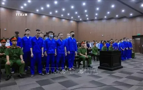 Vụ án Mr Pips: Hệ thống hoàn hảo chiếm đoạt tiền của khách hàng