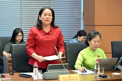 Bà Lê Thị Thanh Lam, Phó trưởng đoàn chuyên trách Đoàn đại biểu Quốc hội TP Cần Thơ, góp ý dự án Luật Bảo vệ công trình quan trọng liên quan đến an ninh quốc gia