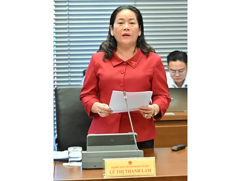 Bà Lê Thị Thanh Lam, Phó trưởng đoàn chuyên trách Đoàn đại biểu Quốc hội TP Cần Thơ, góp ý dự án Luật An ninh dữ liệu