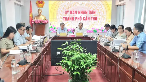 Tập trung chuẩn bị để tổ chức thành công Festival Quốc tế ngành hàng lúa gạo lần thứ II