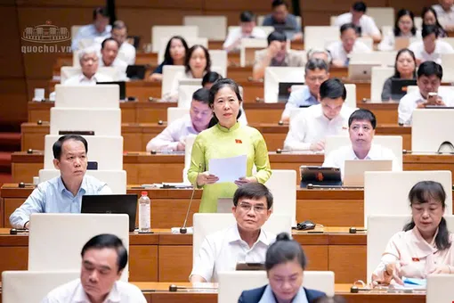 Bà Tô Ái Vang, Phó trưởng đoàn chuyên trách Đoàn đại biểu Quốc hội TP Cần Thơ, góp ý dự án Luật sửa đổi, bổ sung một số điều của Luật Đo lường