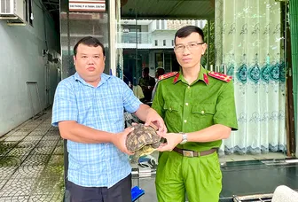 Người dân tự nguyện giao nộp cá thể rùa cổ sọc quý hiếm