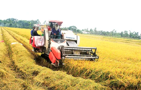 Giá trị sản xuất khu vực nông, lâm nghiệp và thủy sản của xã Đông Hiệp được hơn 595,2 tỉ đồng 