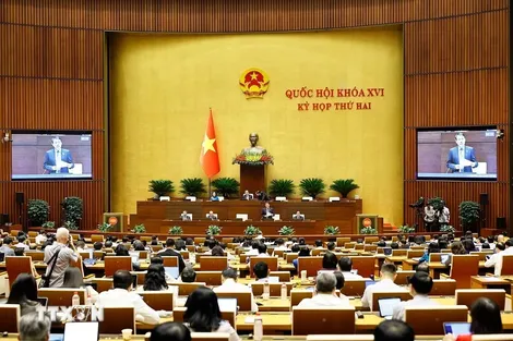 Sửa Bộ luật Hình sự: Sẽ kết hợp hài hòa giữa nghiêm trị với khoan hồng