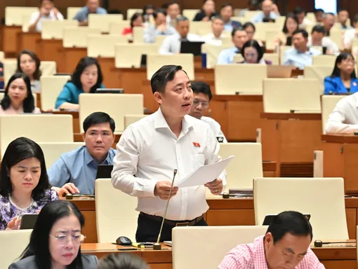 Ông Đào Chí Nghĩa, Phó trưởng đoàn chuyên trách Đoàn Đại biểu Quốc hội TP Cần Thơ, góp ý dự thảo Bộ luật Hình sự (sửa đổi)