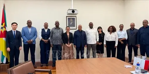 Mozambique coi Việt Nam là đối tác chiến lược hàng đầu trong hợp tác nông nghiệp