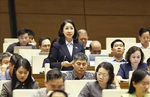 Hoàn thiện pháp luật hình sự, phòng ngừa những hành vi mới nguy hiểm cho xã hội