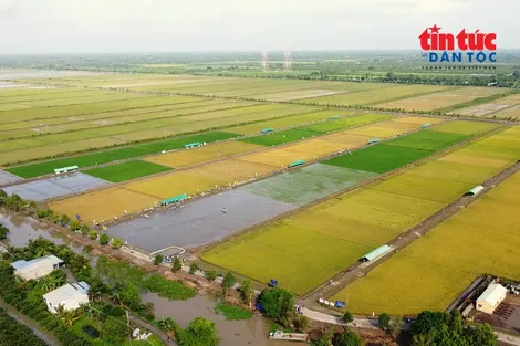 Minh bạch dữ liệu để nâng giá trị nông sản Việt