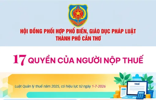 [INFOGRAPHICS] 17 Quyền của người nộp thuế