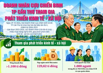[INFOGRAPHICS] Doanh nhân cựu chiến binh TP Cần Thơ tham gia phát triển kinh tế - xã hội
