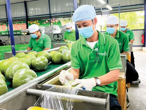 Tìm lời giải cho bài toán tăng trưởng tại ĐBSCL