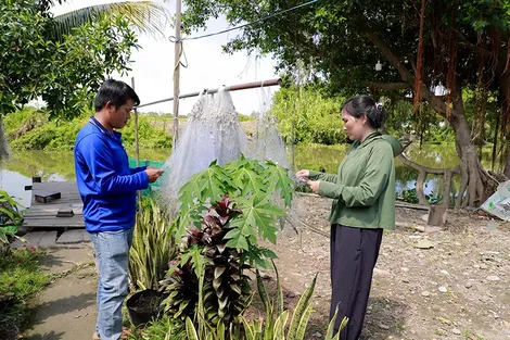 Mơ ước một mái nhà
