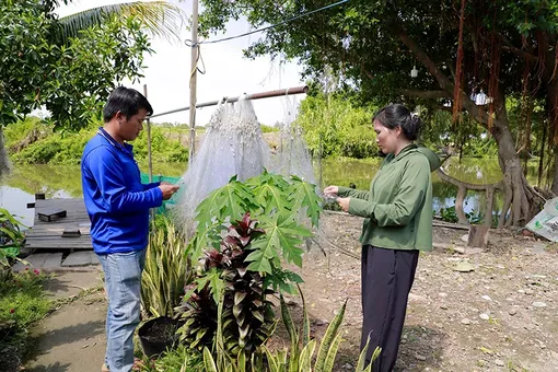 Mơ ước một mái nhà