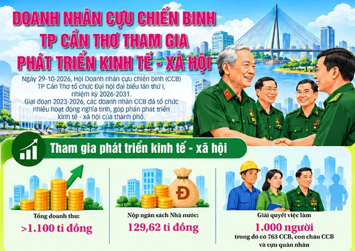 [INFOGRAPHICS] Doanh nhân cựu chiến binh TP Cần Thơ tham gia phát triển kinh tế - xã hội