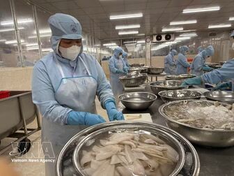 Vietnam’s seafood exporters chase 12 bln USD record as year-end demand builds