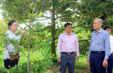 Nâng chất hoạt động Hội, giúp nông dân sản xuất hiệu quả hơn