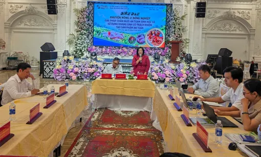Thúc đẩy chăn nuôi an toàn sinh học và sử dụng kháng sinh có trách nhiệm tạo sản phẩm an toàn