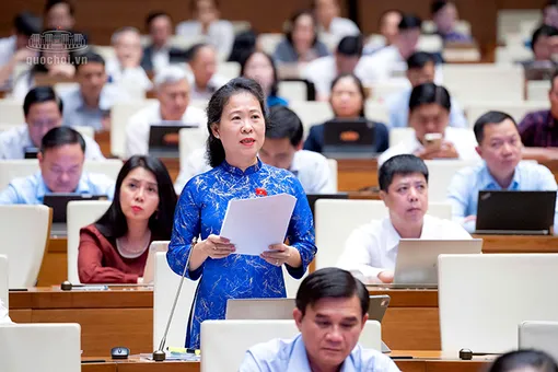 Bà Tô Ái Vang, Phó trưởng đoàn chuyên trách Đoàn đại biểu Quốc hội TP Cần Thơ, góp ý dự thảo Nghị quyết của Quốc hội về phân bổ ngân sách Trung ương năm 2027