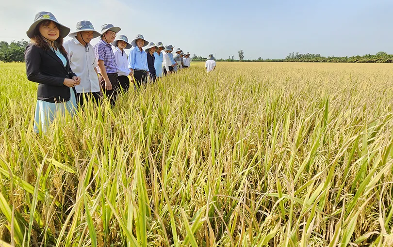 Cần Thơ tăng tốc chuyển đổi xanh, nâng tầm giá trị nông sản
