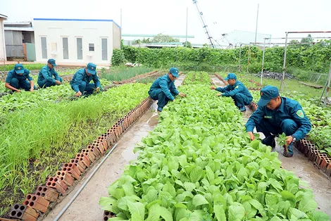 Tăng cường lãnh đạo, chỉ đạo thực hiện tốt công tác thi đua, khen thưởng
